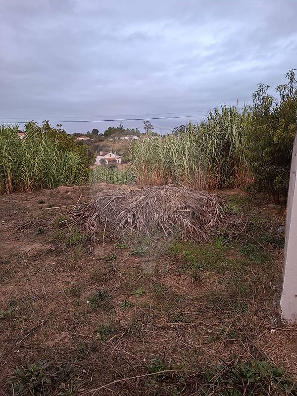 Moradia T0 à venda em Brogueira, Parceiros de Igreja e Alcorochel, Torres Novas — foto 8