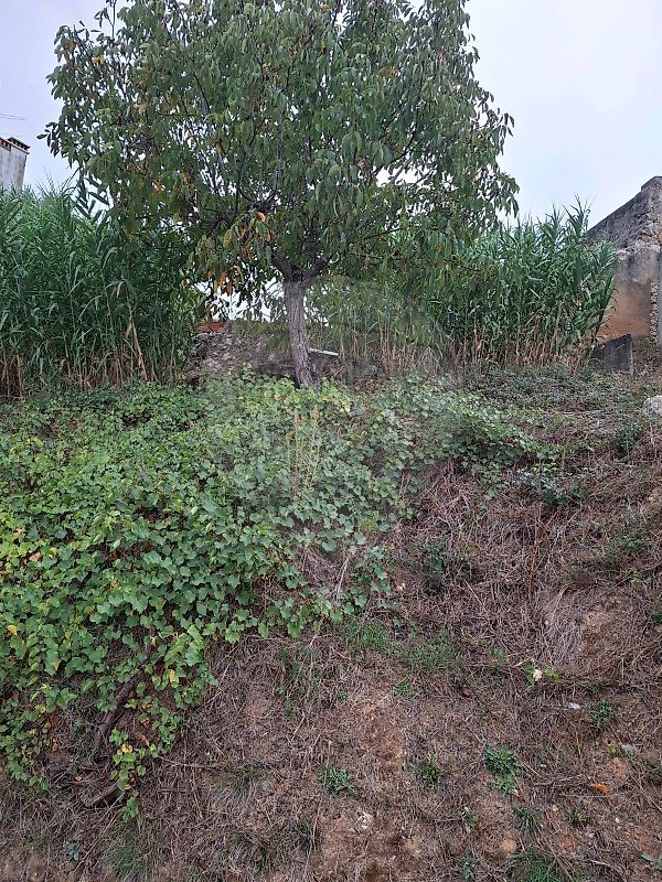 Moradia T0 à venda em Brogueira, Parceiros de Igreja e Alcorochel, Torres Novas — foto 6