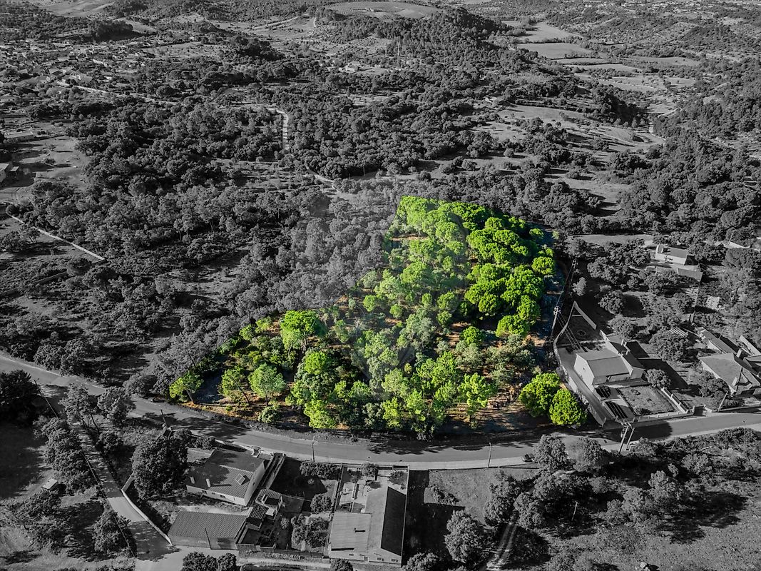 Terreno - Malhou, Louriceira e Espinheiro, Alcanena, Santarém