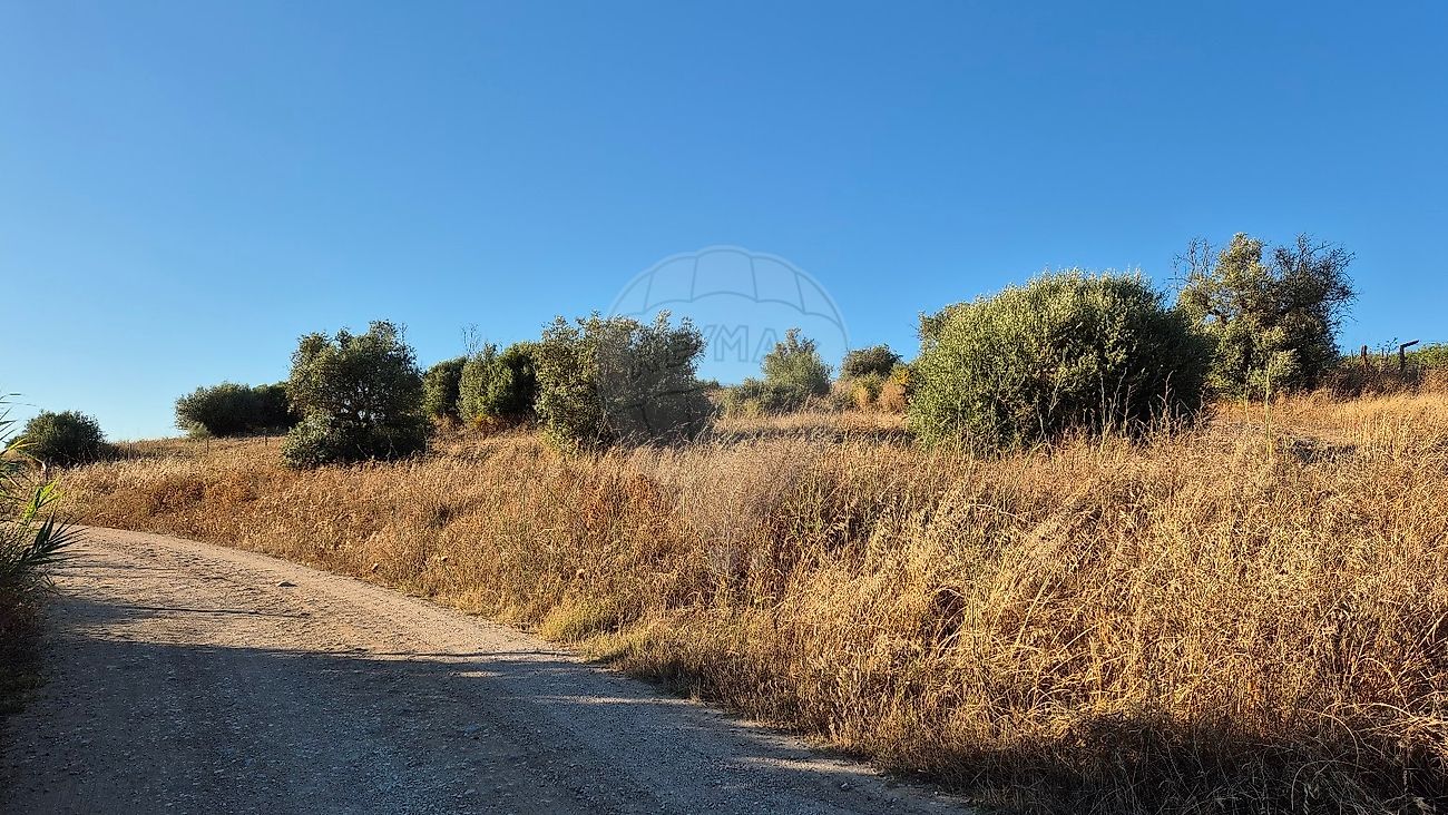 Moradia T1 à venda em Torrão, Alcácer do Sal — foto 10