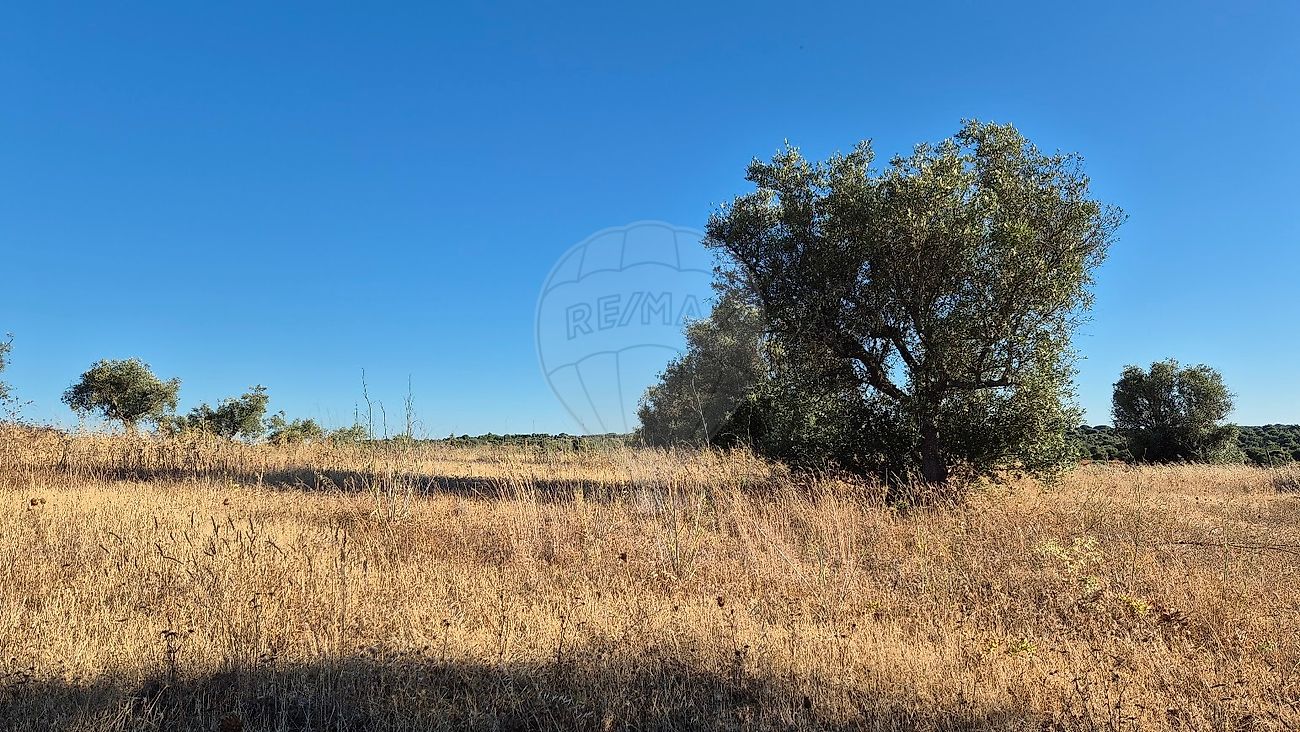 Moradia T1 à venda em Torrão, Alcácer do Sal — foto 11