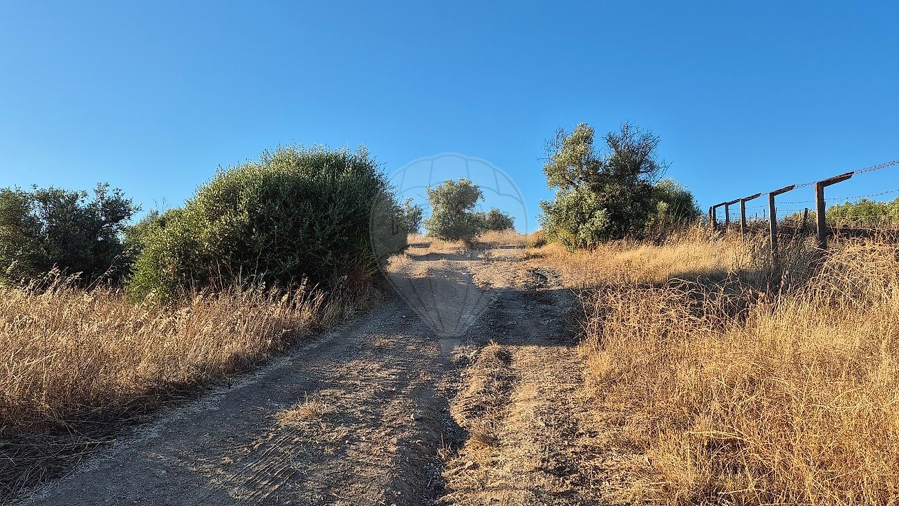 Moradia T1 à venda em Torrão, Alcácer do Sal — foto 9