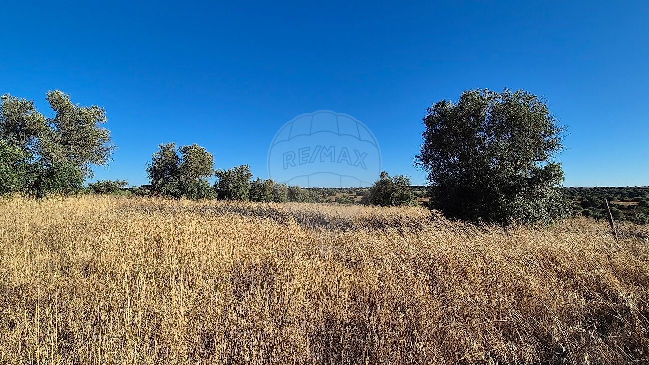 Moradia T1 à venda em Torrão, Alcácer do Sal — foto 8