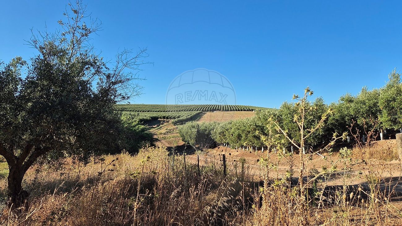 Moradia T1 à venda em Torrão, Alcácer do Sal — foto 5