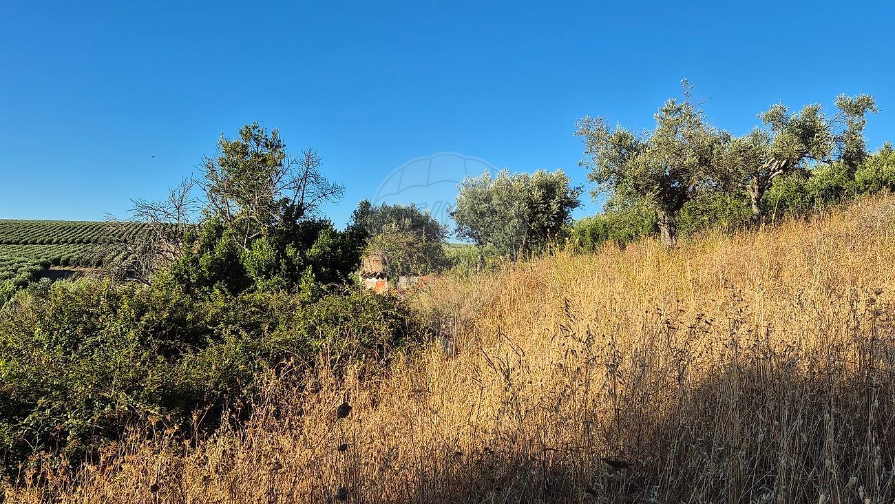 Moradia T1 à venda em Torrão, Alcácer do Sal — foto 6