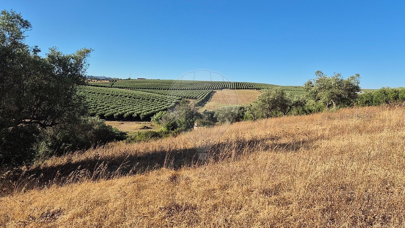 Moradia T1 à venda em Torrão, Alcácer do Sal — foto 14