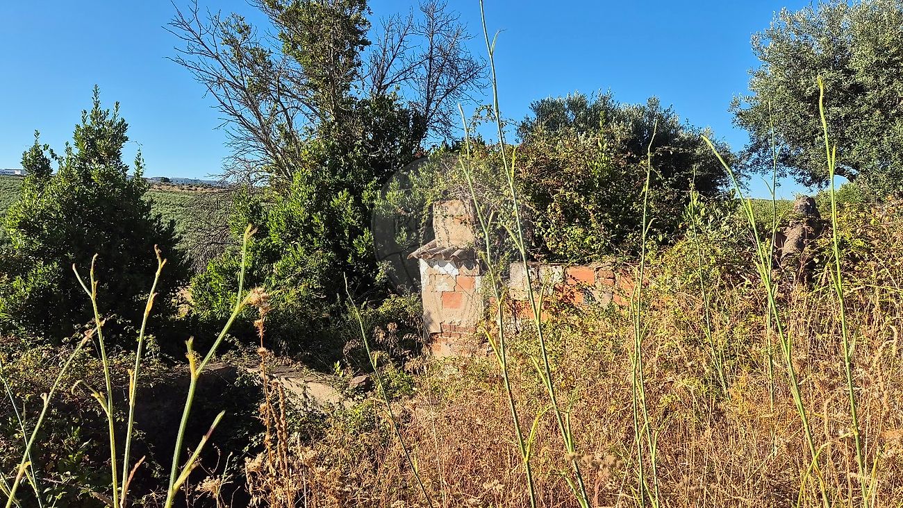 Moradia T1 à venda em Torrão, Alcácer do Sal — foto 13