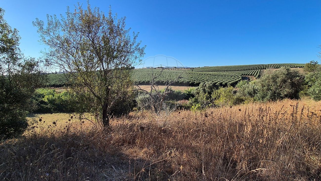 Moradia T1 à venda em Torrão, Alcácer do Sal — foto 7