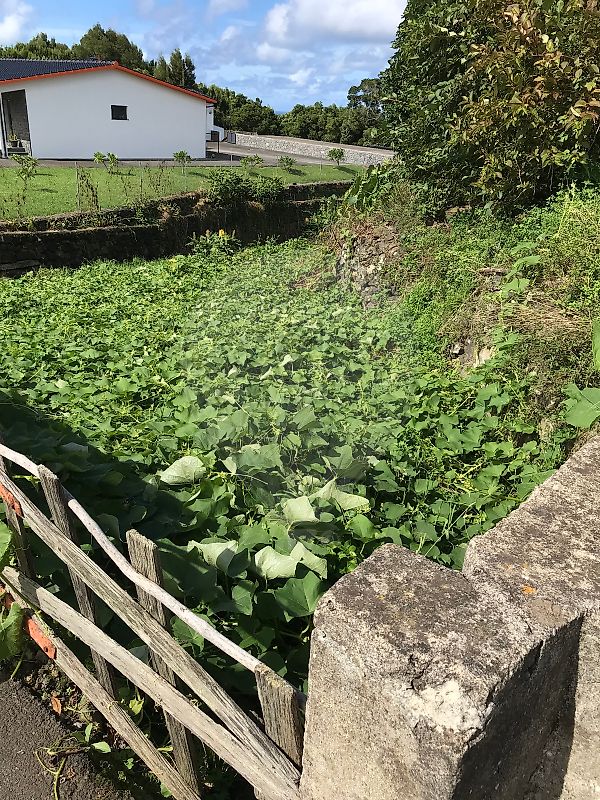 Terreno à venda em Praia da Vitória