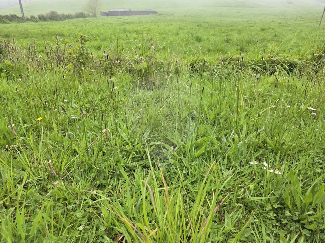 Terreno para venda