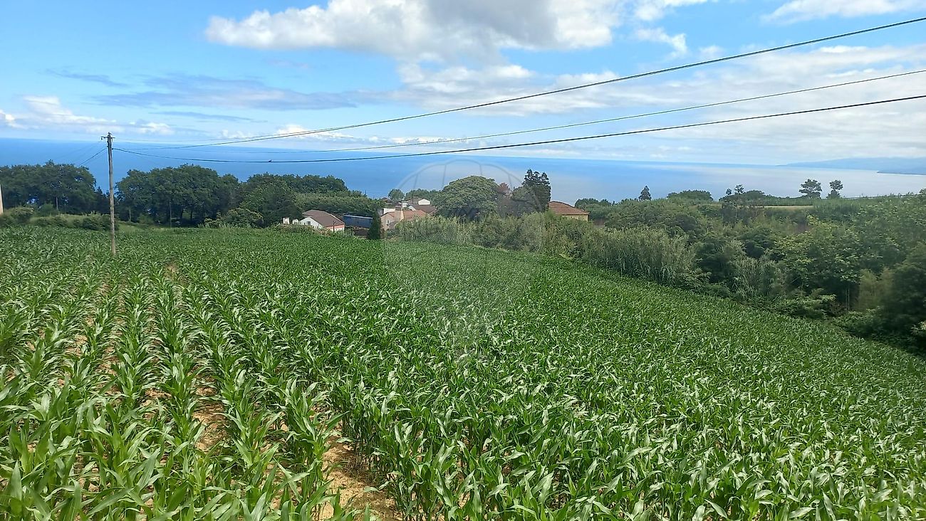 Terreno para venda