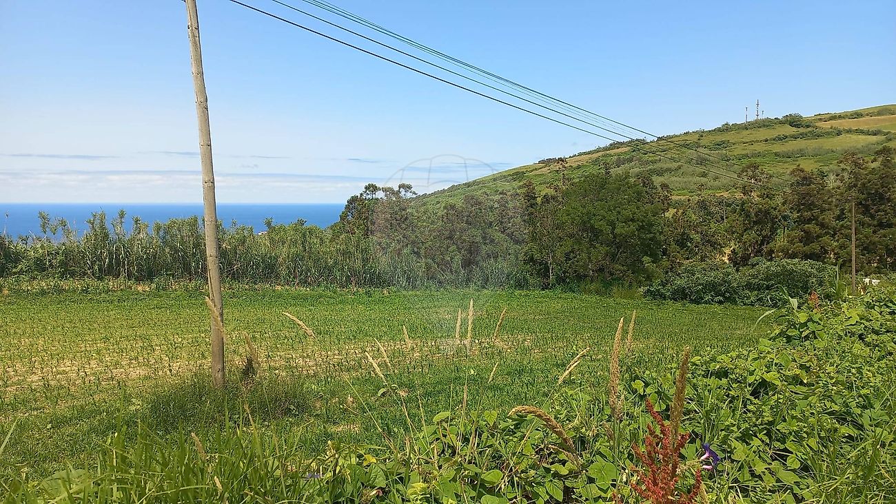 Land for sale in Ponta Delgada, Portugal — €97,000