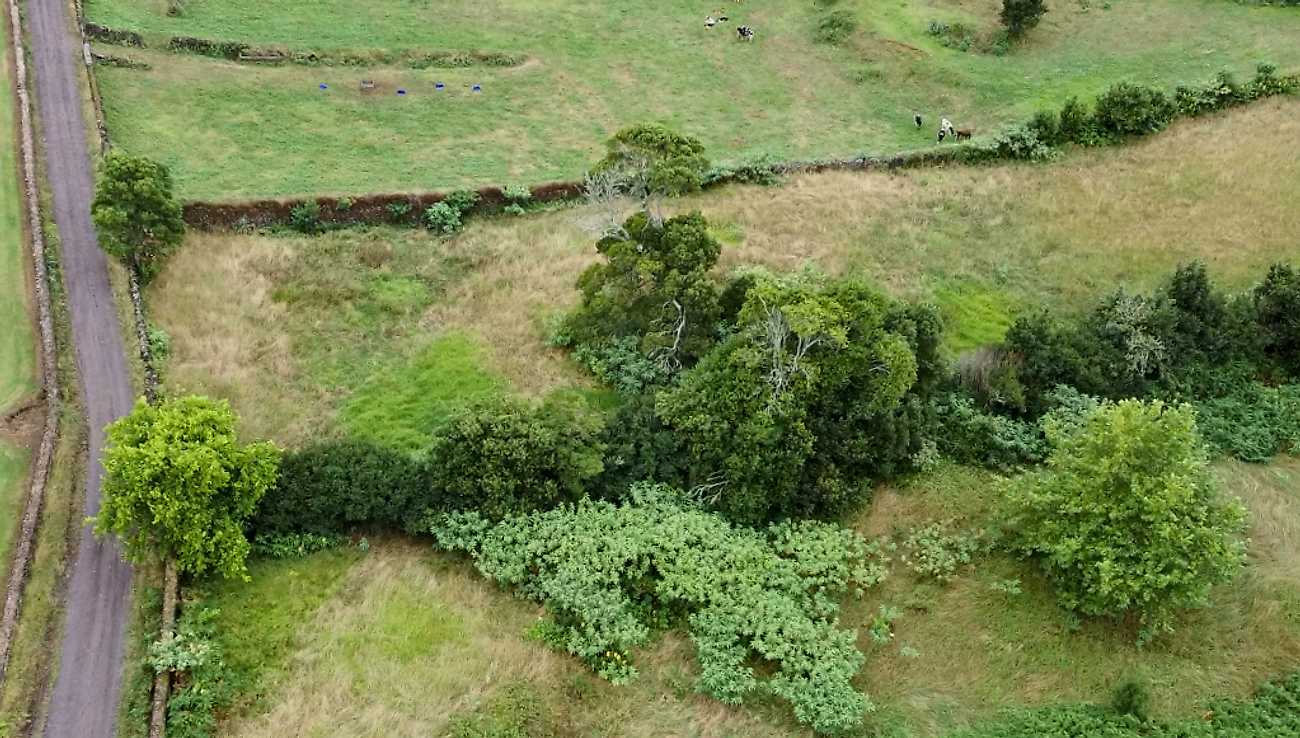 Land for sale in Ponta Delgada, Portugal — €335,000
