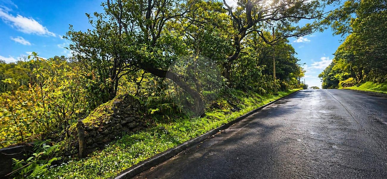 Terreno à venda em Ponta Delgada