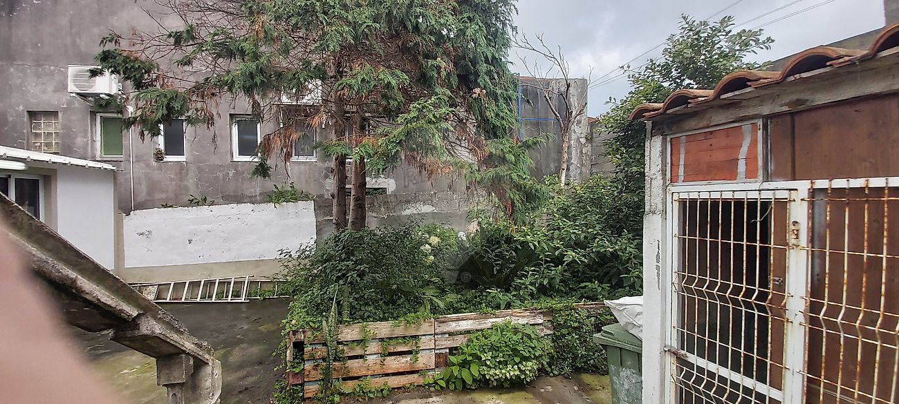 Moradia T2 à venda em Conceição, Ribeira Grande — foto 29