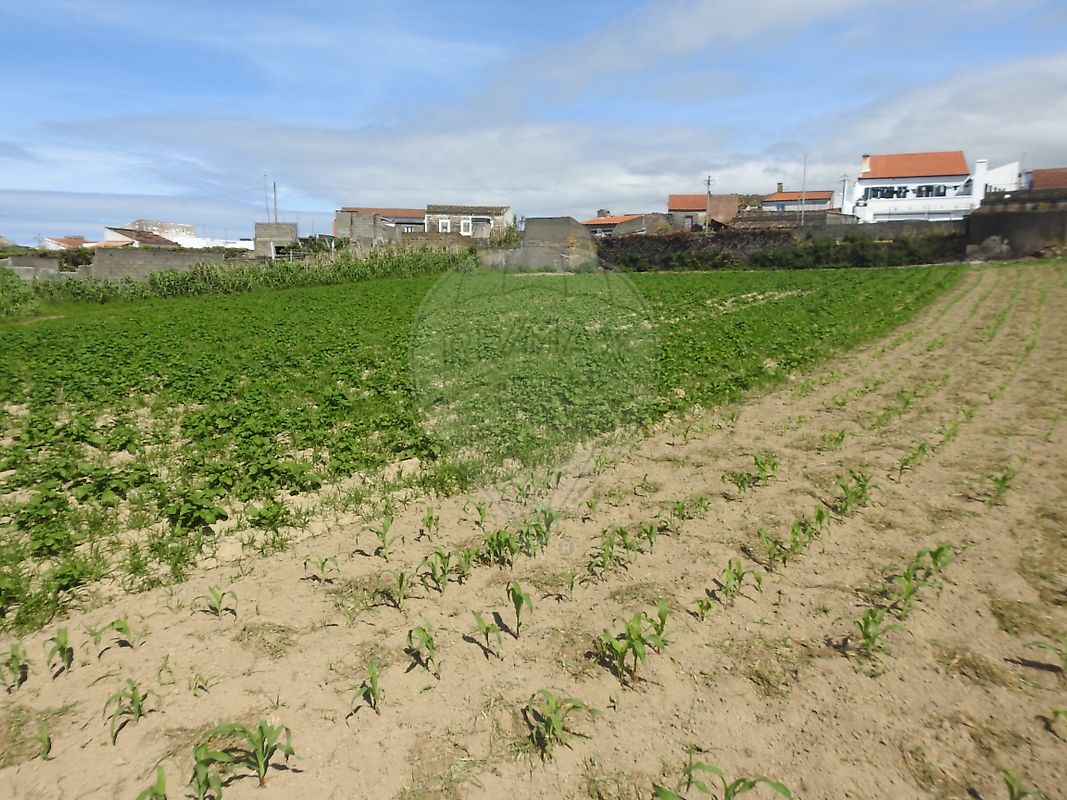 Moradia T3 à venda em Fenais da Ajuda, Ribeira Grande — foto 38