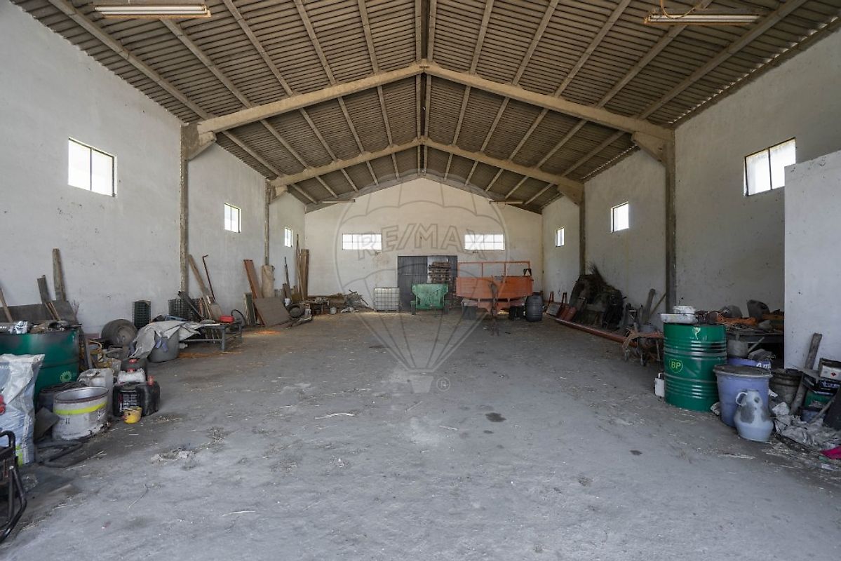 listing-picture-0