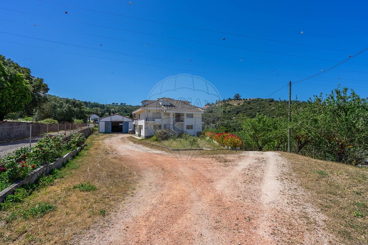 listing-picture-0