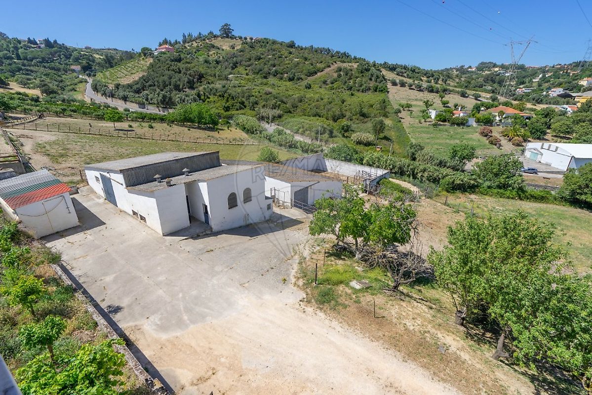 listing-picture-0