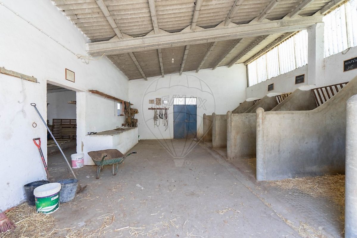 listing-picture-0