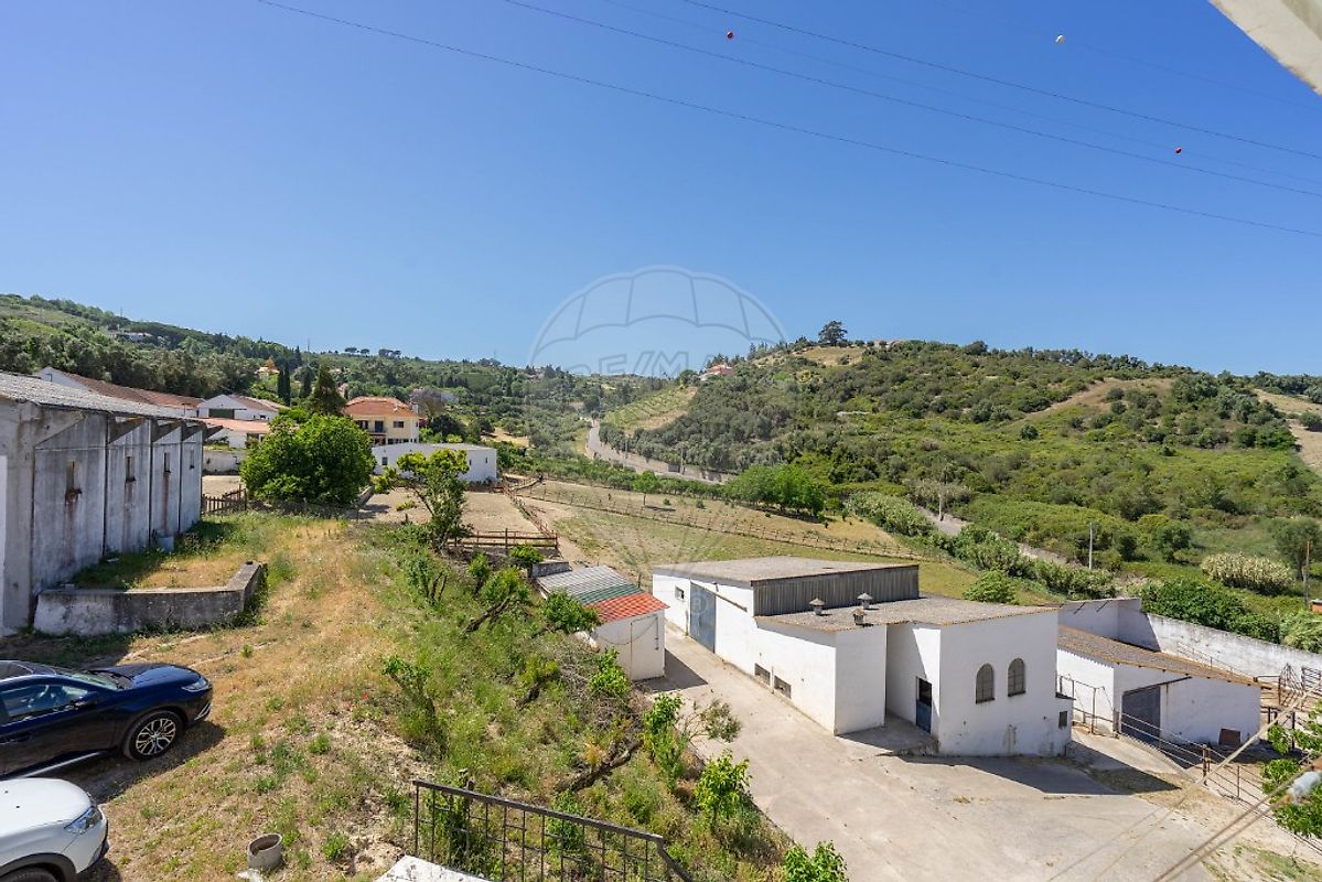 listing-picture-0