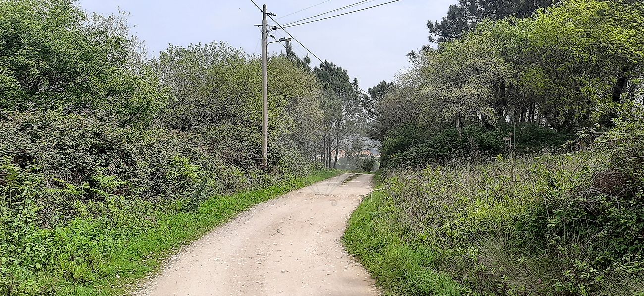 Terreno  à venda em Arrifana