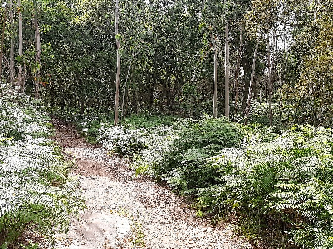 Terreno  à venda em Mafra