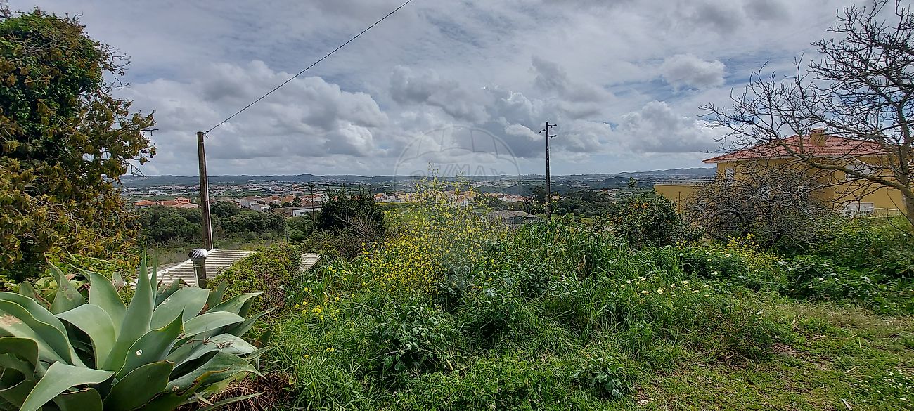 listing-picture-0