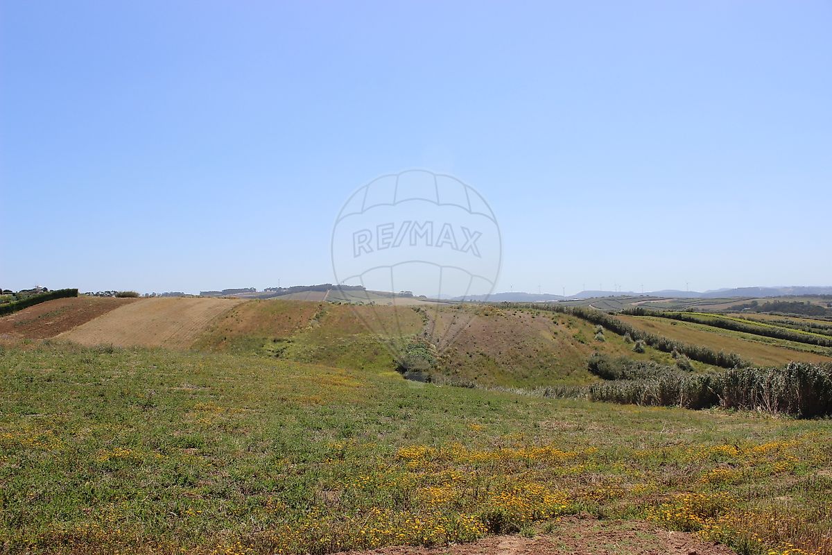 listing-picture-0