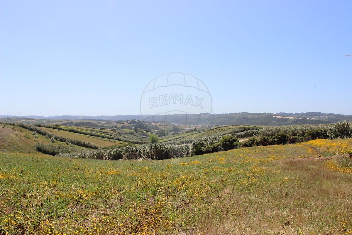 listing-picture-0