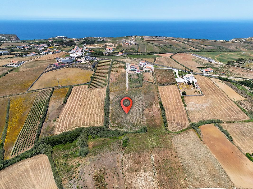 listing-picture-0