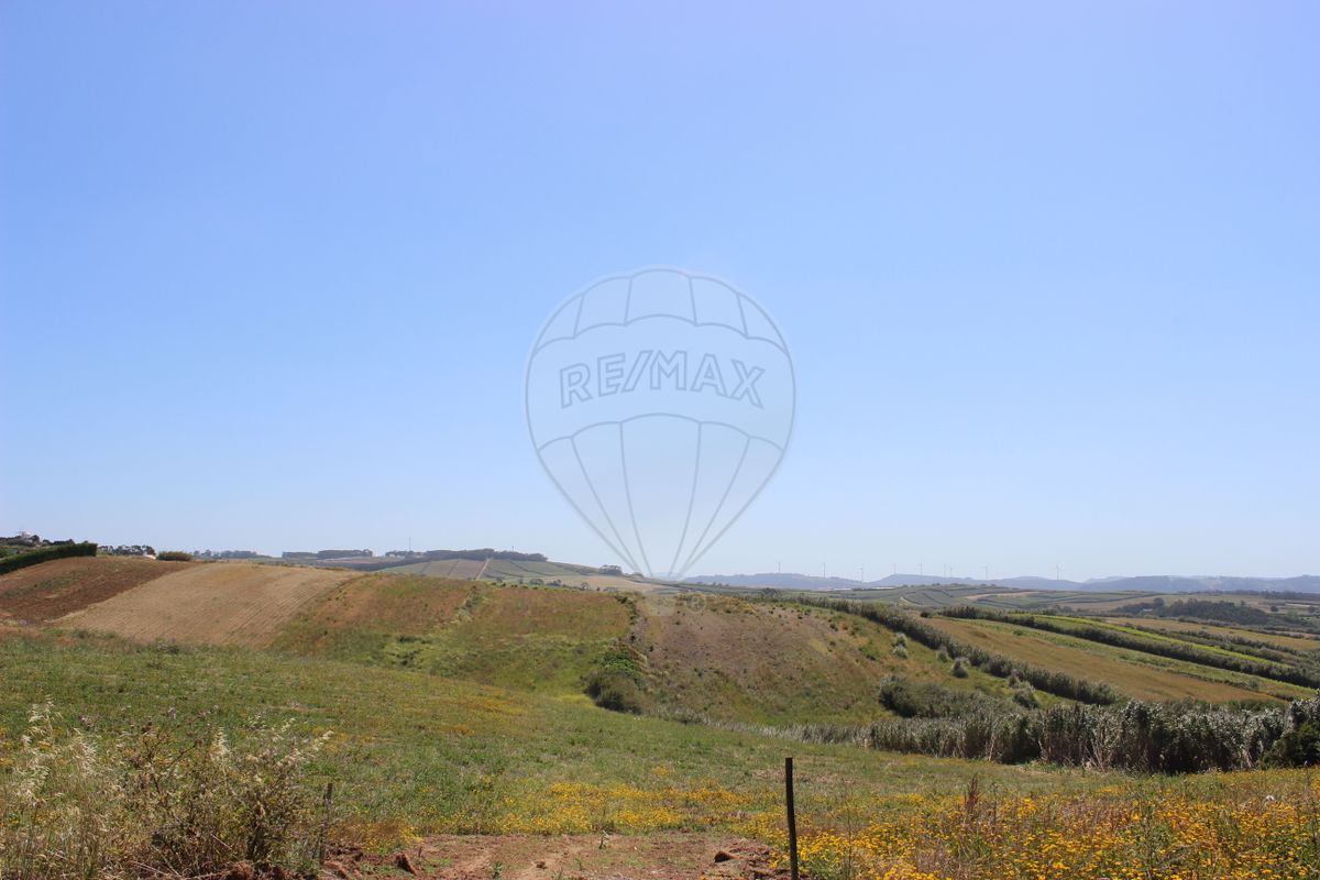 listing-picture-0