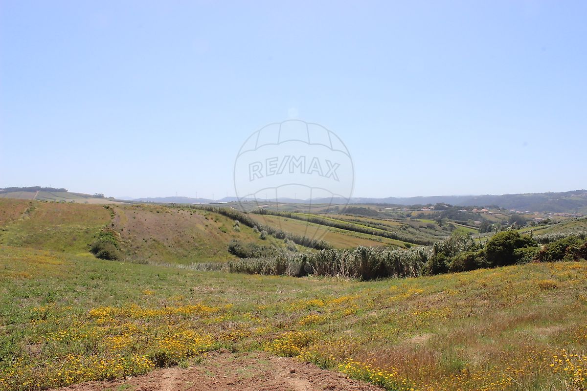 listing-picture-0