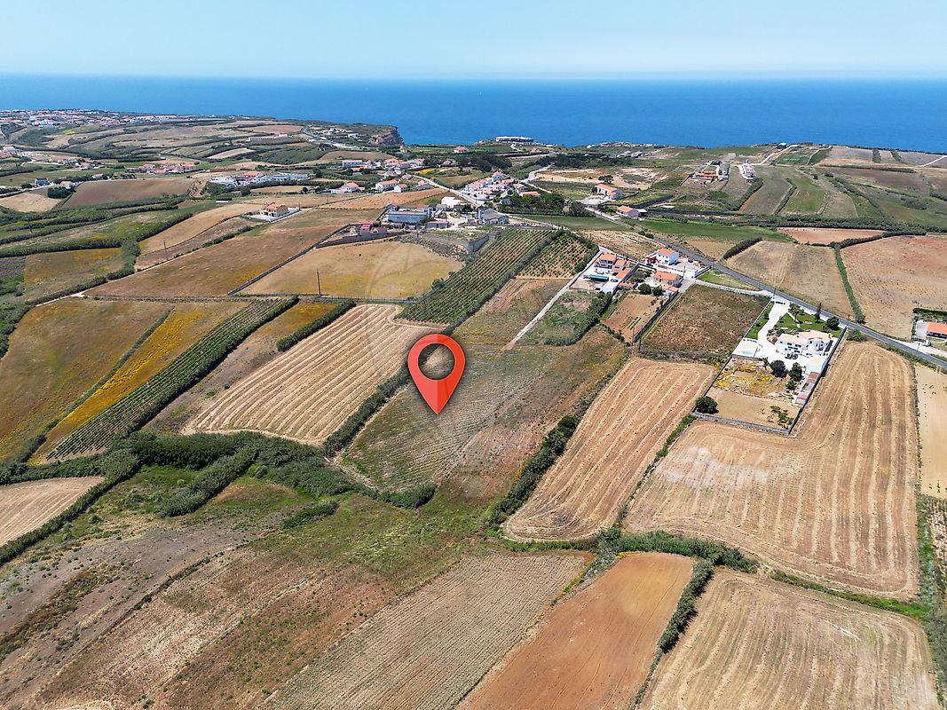 listing-picture-0