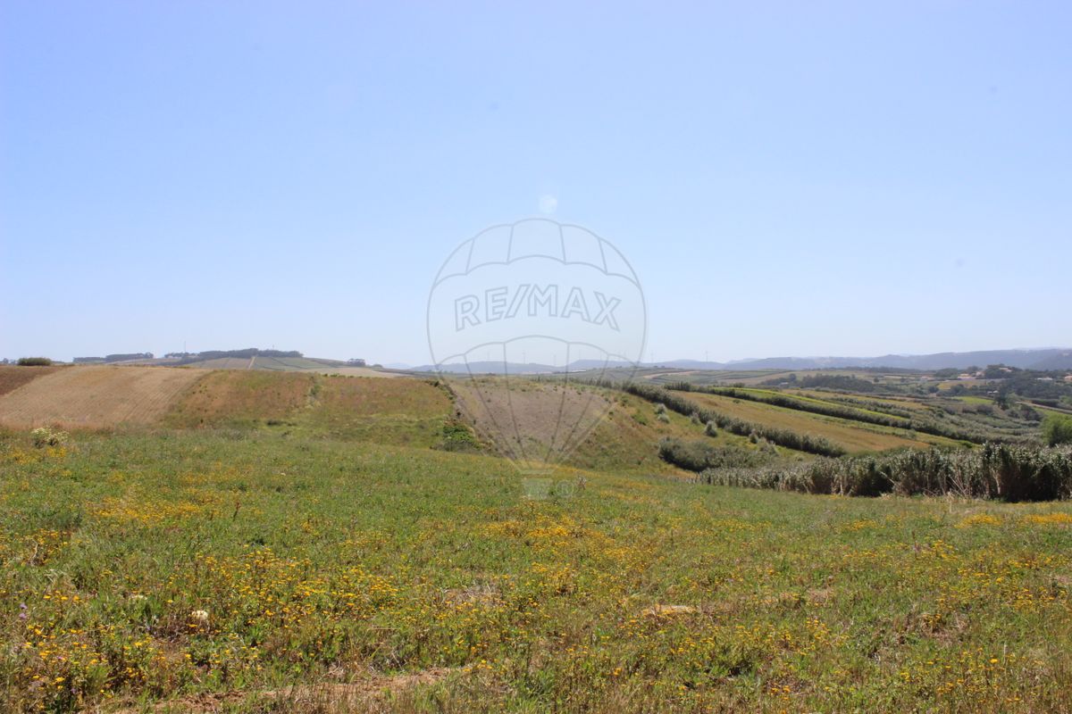 listing-picture-0