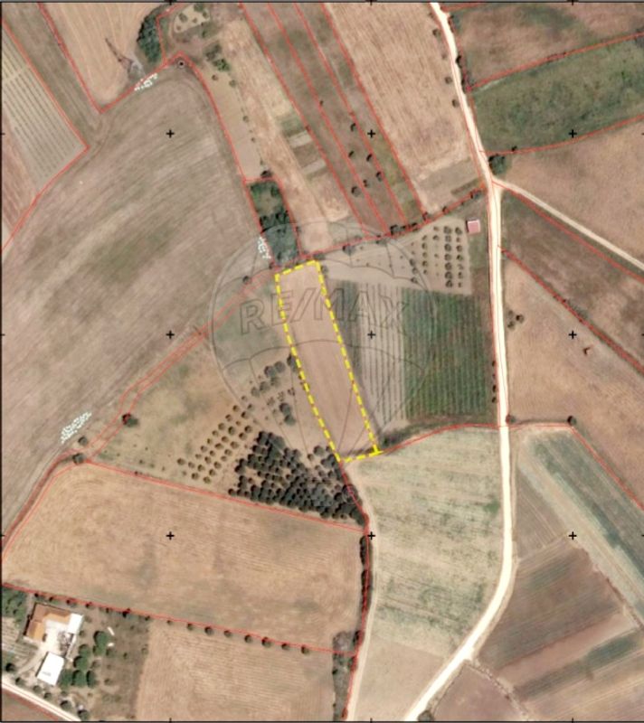 listing-picture-0