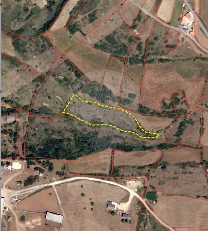 listing-picture-0
