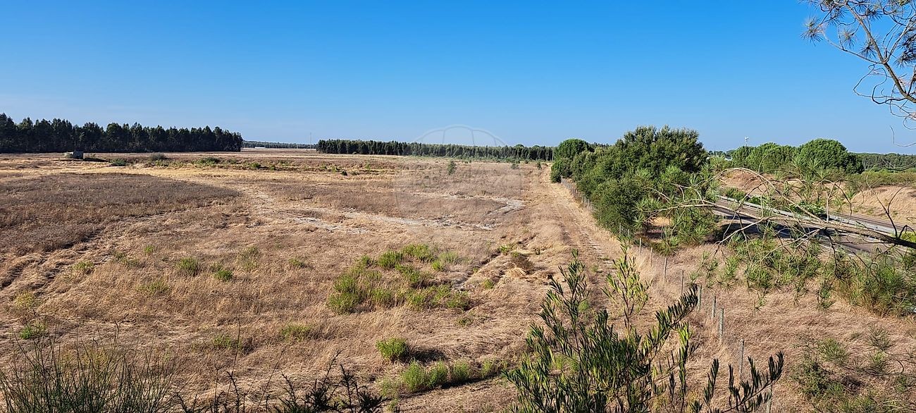 Terreno à venda em Montijo