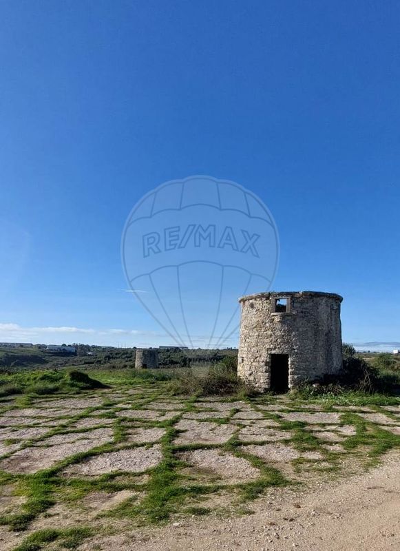 listing-picture-0