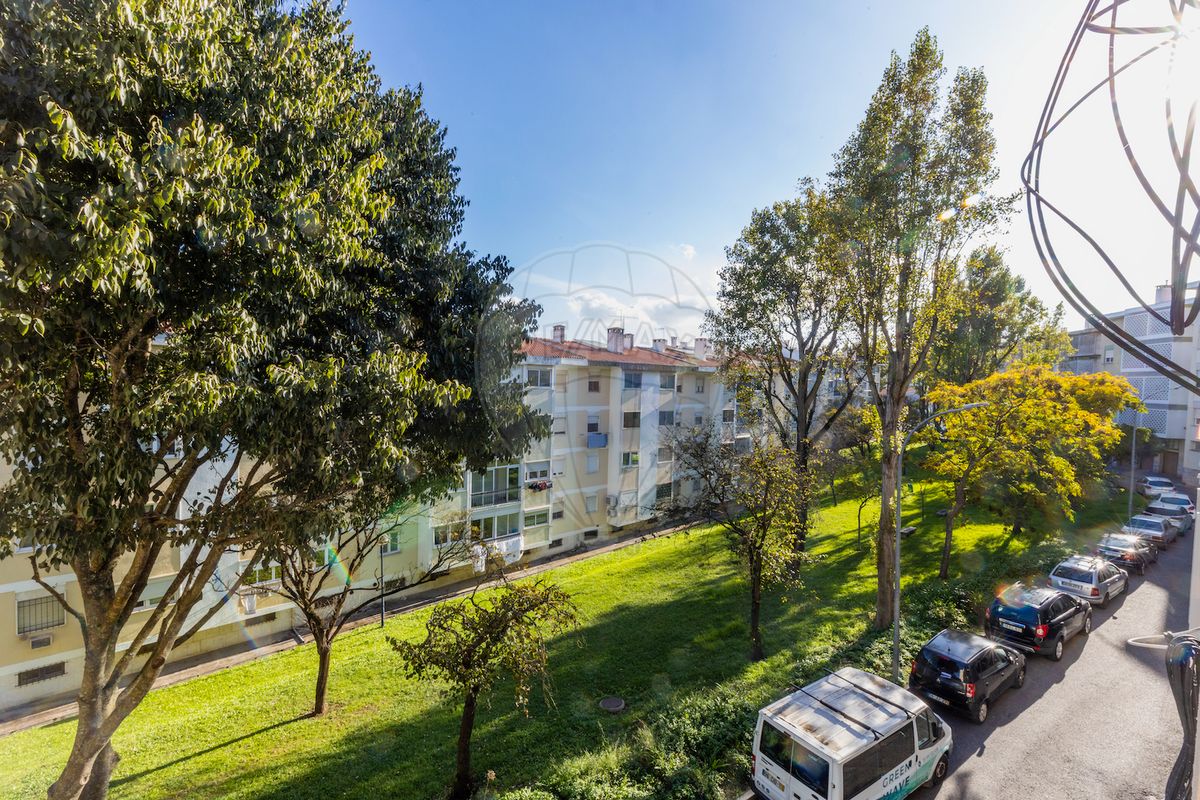 listing 120992163-225 picture-0