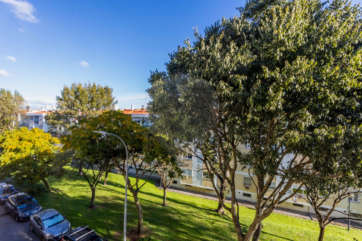 listing 120992163-225 picture-0