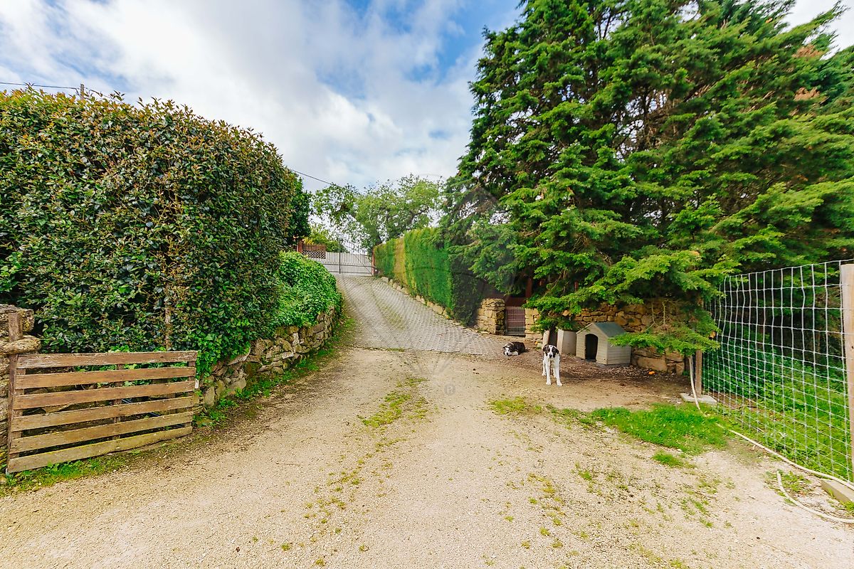 listing 120991397-710 picture-0