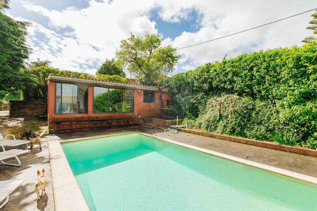 listing 120991397-710 picture-0
