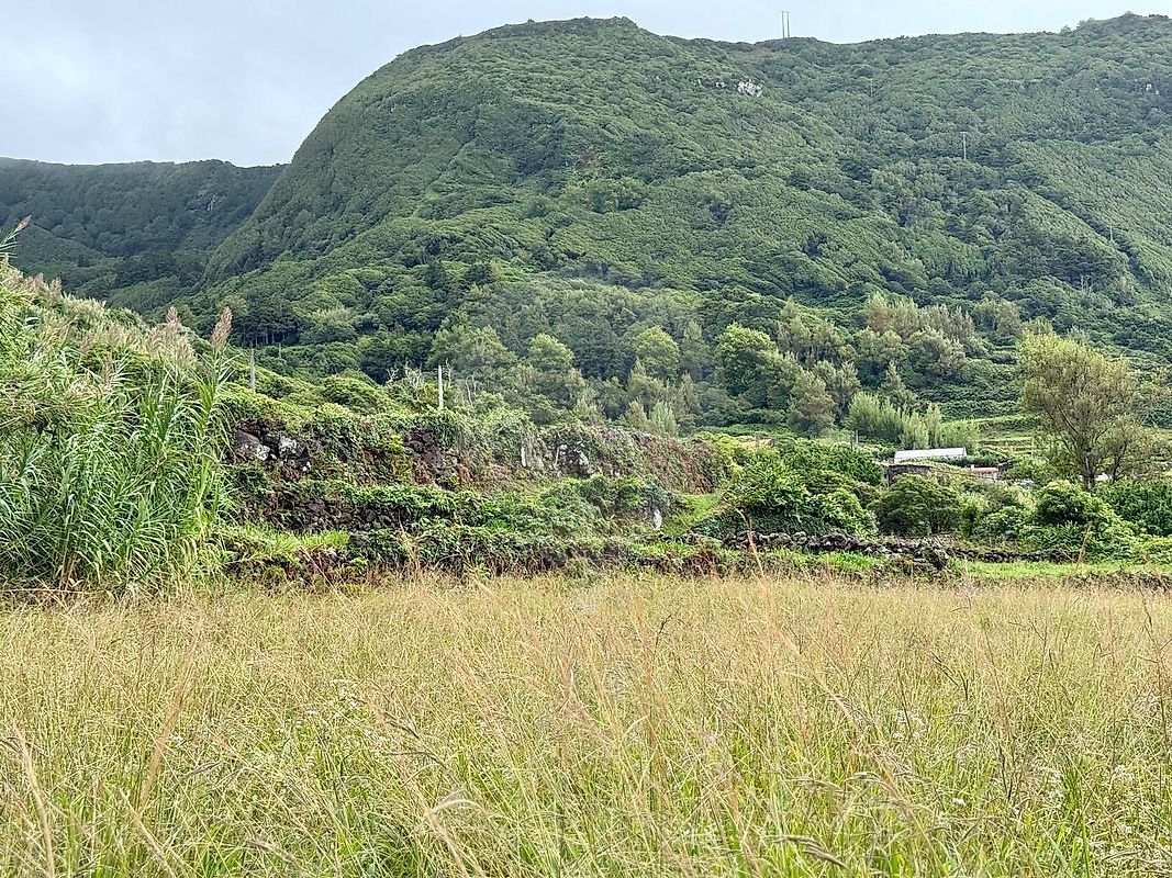 TODO