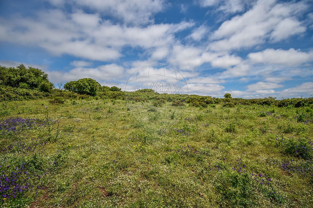 Terreno à venda em Sintra