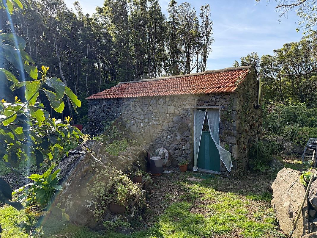 Terreno - Fajã Grande, Lajes das Flores, Ilha das Flores