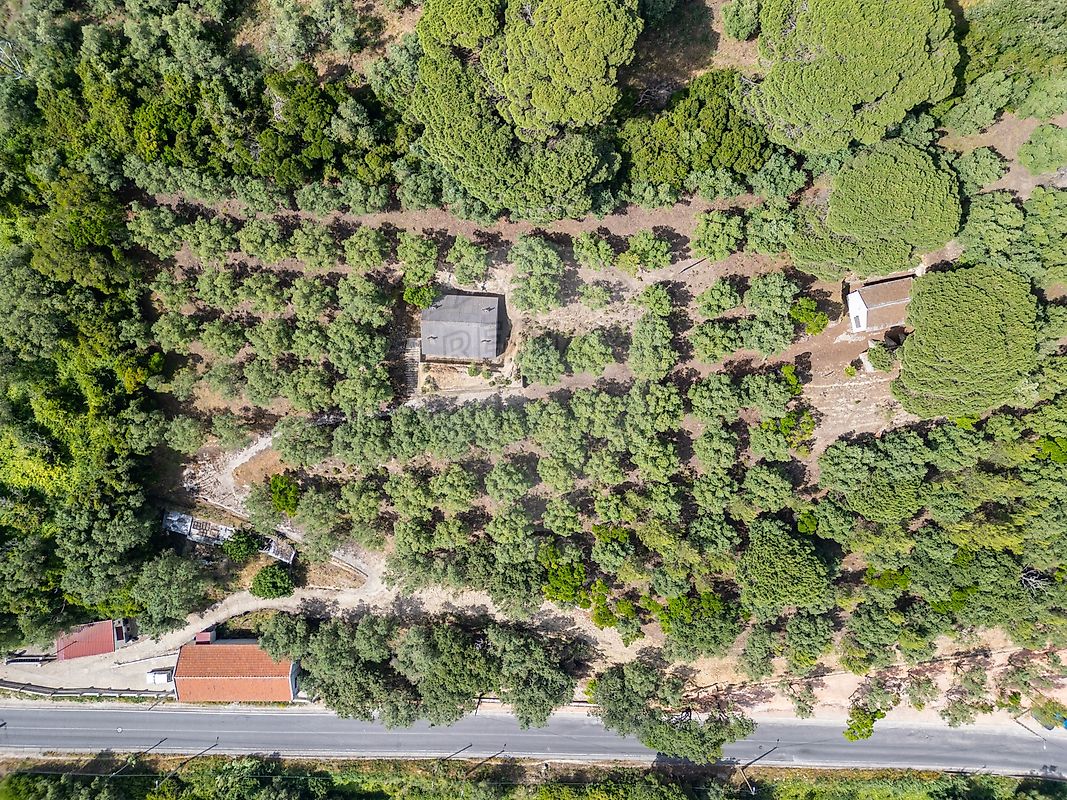 Armazém - Camarate, Unhos e Apelação, Loures, Lisboa