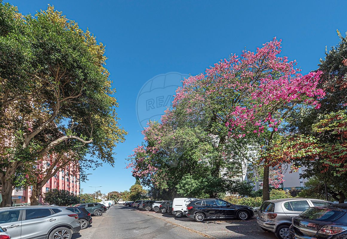 Apartamento T3 à venda em Areeiro, Lisboa — foto 4