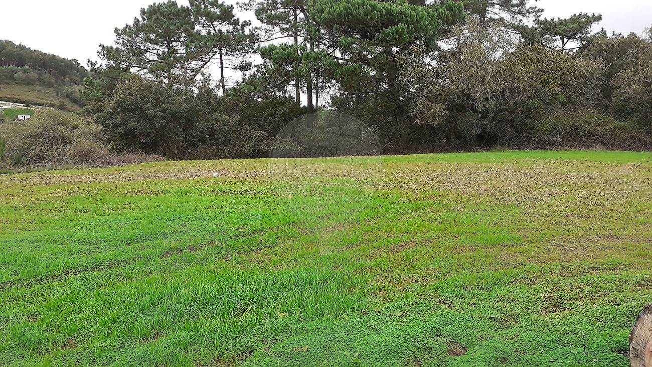 Terreno  à venda em Mafra