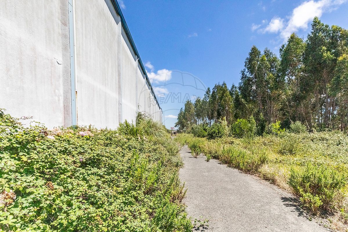 listing 121011131-708 picture-0